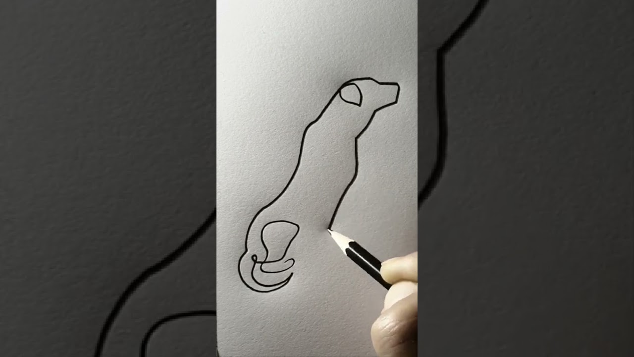 Drawing the Dog with Beautiful Lines 