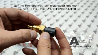 Датчик температуры охлаждающей жидкости SENSOR; WATER THERMO Isuzu 4HK1 4JJ1 4LE2 6HK1 8980237170 Isuzu 4hk1 6hk1 4jj1 Water Temp Sensor 2004 2015 Oem 8980237170