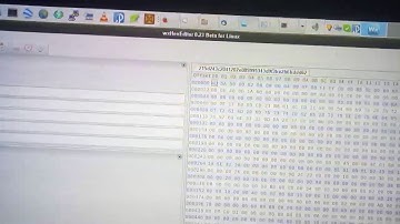 Wxhexeditor, searching error