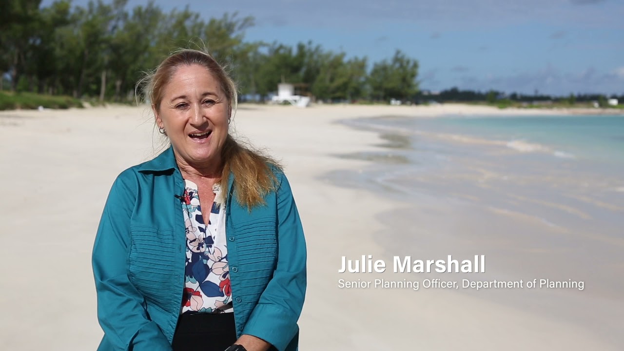 Bermuda Land Development Company Limited (BLDC)