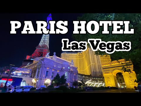 Burgundy Petite suite Lemans Paris Las Vegas｜TikTok Search