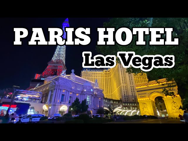 Burgundy Petite suite Lemans Paris Las Vegas｜TikTok Search