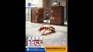 Termite Control by Vantage Chemicals | Long-Term Deemak Protection