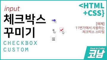 체크박스 디자인바꾸기(CUSTOM) 코딩하기 - 11번가 input type="checkbox" 예제[HTML+CSS{코남}]