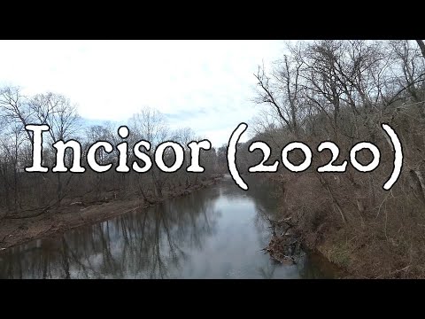 Incisor (2020) | [4K] Movie Trailer | [Drama/Comedy/Mockumentary]