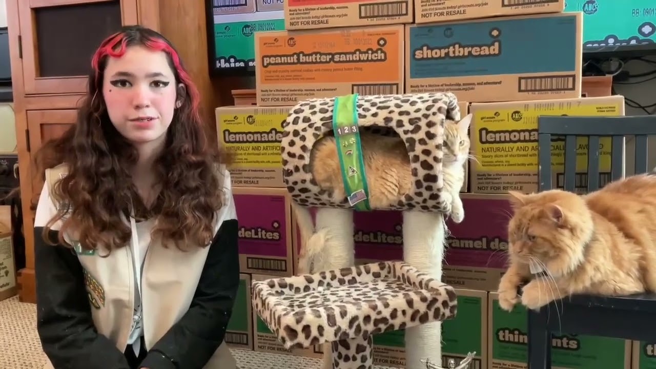 Girl Scout Cookie Sales 2