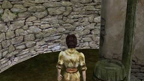 Morrowind - Collision detection bugs