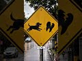 Don't run if you see this warning in road!😱 #viral #shorts #viralvideo