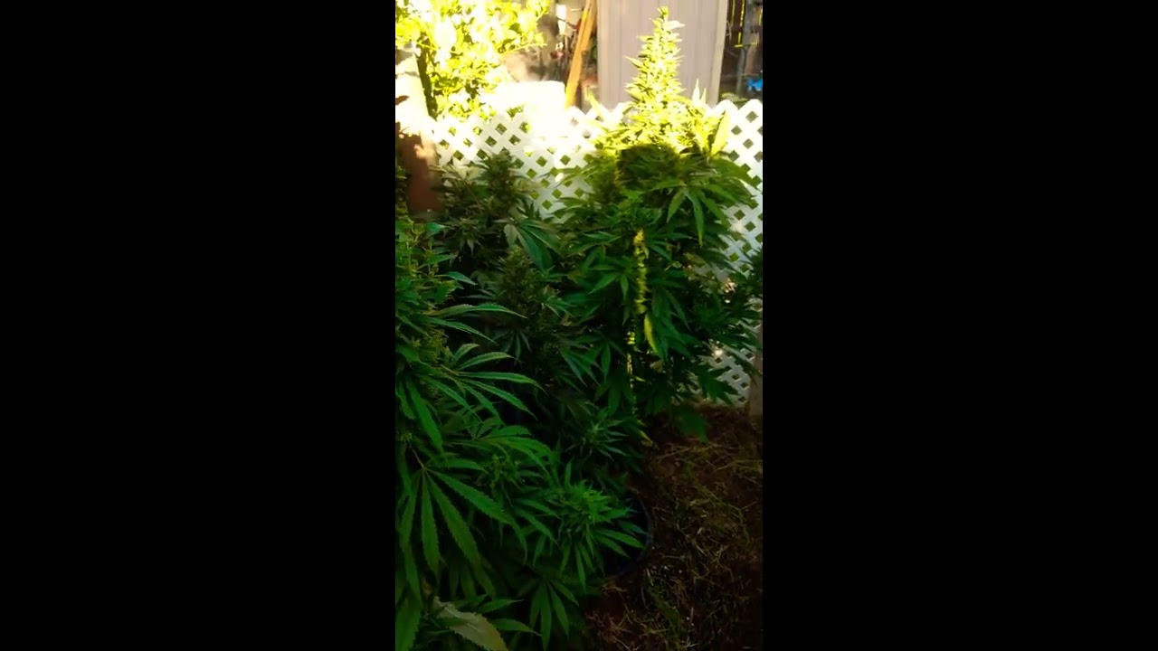 21+channel... the out doors!!;