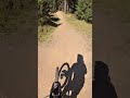 Wexl Trails Jumpline  #mountainbike #mtb #mtblife #bikelife #mtblove