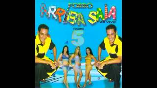 Video thumbnail of "Arriba Saia -  Flor da Gabiraba"