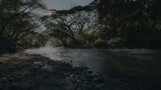 Jungle Chaosproduced By