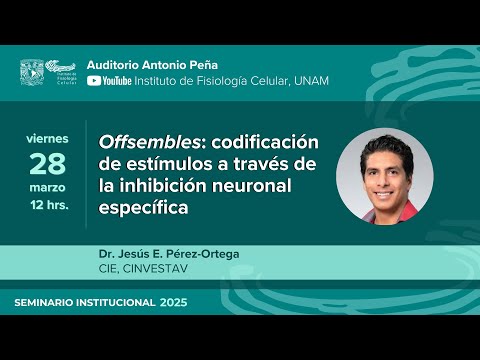Offsembles: codificación de estímulos a través de la inhibición neuronal específica