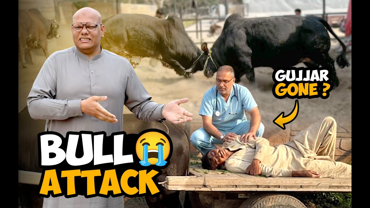 Gujjar Ko Kuchal Diya😨 | Chintu Ne Tabahi Macha Di🐂 | BT Farm Stories