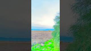 Only the mountains in the distance hold the last light of day🌾,#nature ,#doğa ,#自然 ,#usashorts ,#자연