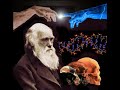 La evolucin de darwin en accin