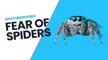 Fear of Spiders (Arachnophobia)