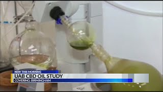 UAB CBD oil study results