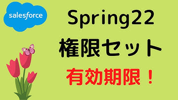 Salesforce Spring22で権限セットと権限セットグループに有効期限を追加可能に！