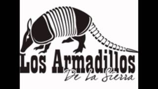 Los Armadillos De La Sierra-Chuy Espinoza chords