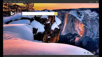 Internet Explorer ActiveX Filtering
