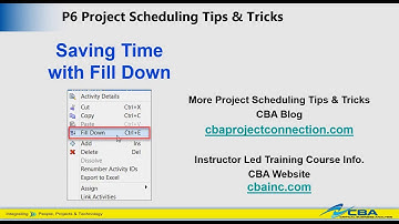 Primavera P6 Fill Down feature