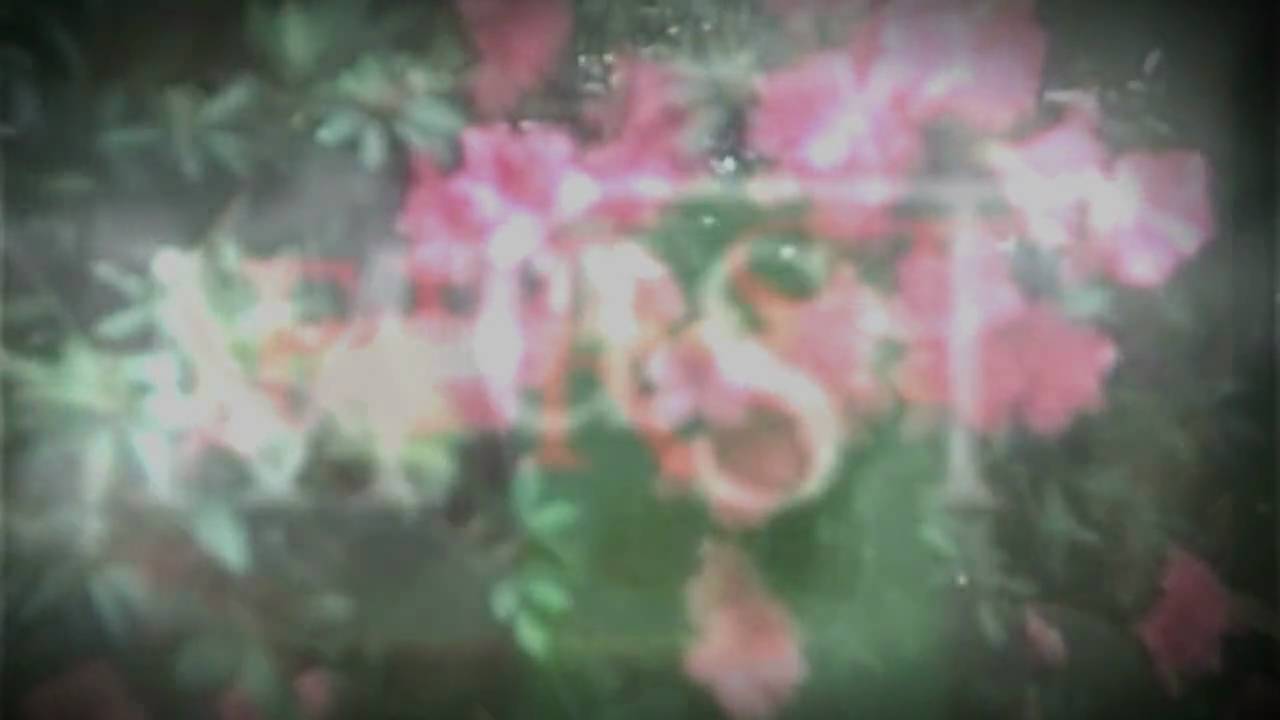 A Half-Remembered Sentence from The Quiet Man