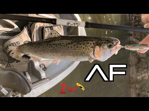fish arizona z-wobbler whittmann lure catch a memory Z-Man Trick Shotz 3.5" (6 Pack) Goby Bryant WOO! TUNGSTEN and saltwater swimbait applications alike ChatterBait MicroMax