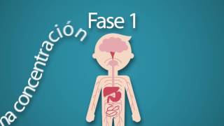 Edición, Ilustración Y Animaciones - Medicamento Fefym