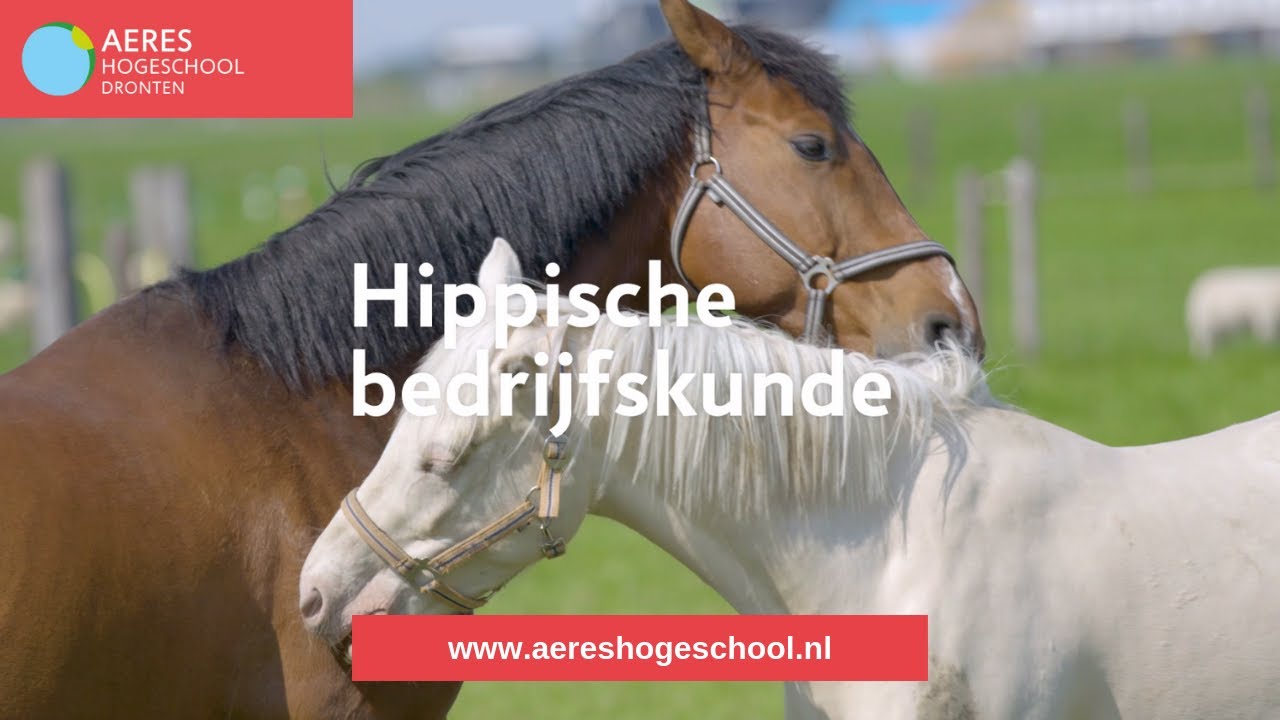 Aeres Hogeschool Dronten | Bachelor | Hippische Bedrijfskunde