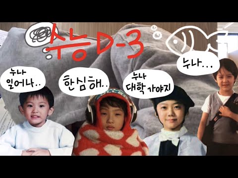 [VLOG] 수능 D-3 고3시즈니 공부 브이로그