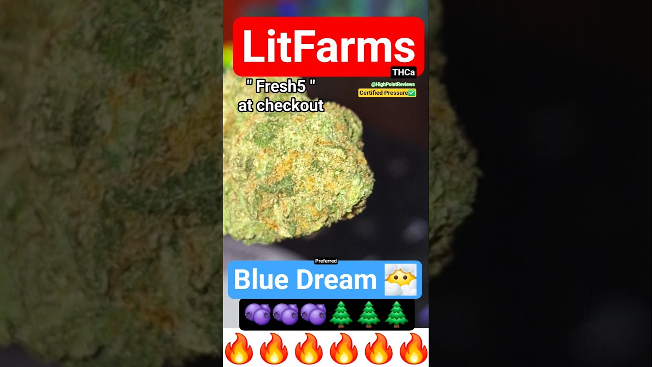 TIME WARP 😶‍🌫️ LitFarms : Blue Dream THCa [Preferred]🫐🌲