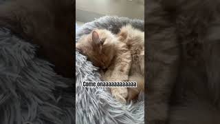 Im Also A Girl But This Is Common For Me Lol