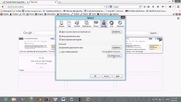 Cách xem và xóa mật khẩu đã lưu trên Firefox