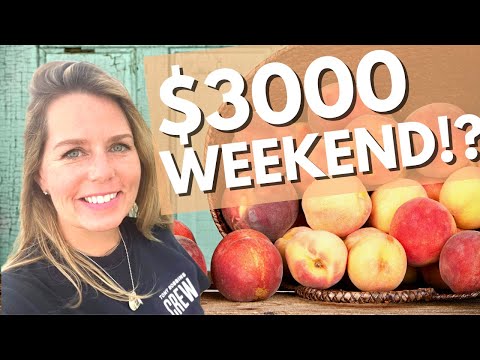 How to Start a Farm Stand: LOW-RISK Weekend Side Hustle