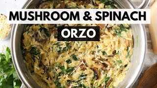 My New Favorite Side Dish One-Pot Mushroom Spinach Orzo