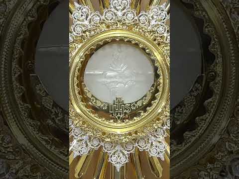 ¡Confío en Ti Corazón de Jesús!🙏🙏🙏Visita al Santísimo Sacramento