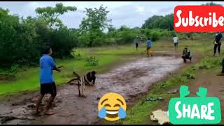 funny cricket video 😂😂😂😂in rainy season screenshot 5