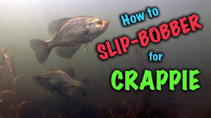 How to Rig and Fish Slip Bobbers for Crappie in Timber 