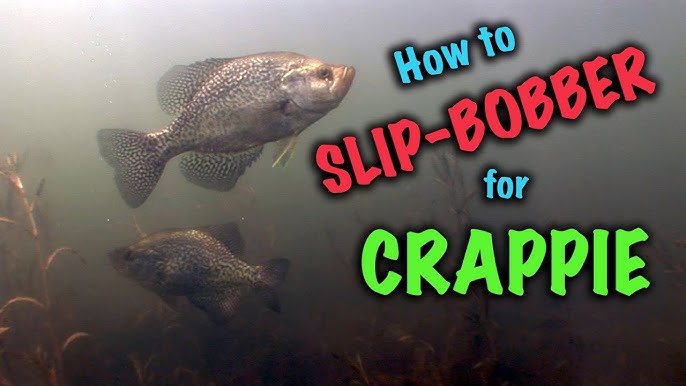 2 Bullet Bobber STEERABLE FLOAT - Crappie Jigging Slip for Strike