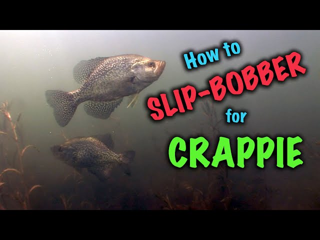 Slip Bobber Crappie 