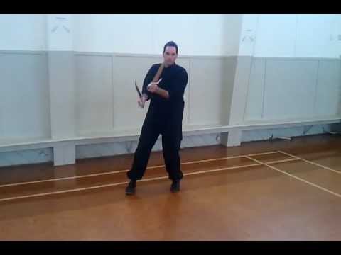 Butterfly Sword Form Baat Jarm Dao Wing Chun Kung Fu Youtube