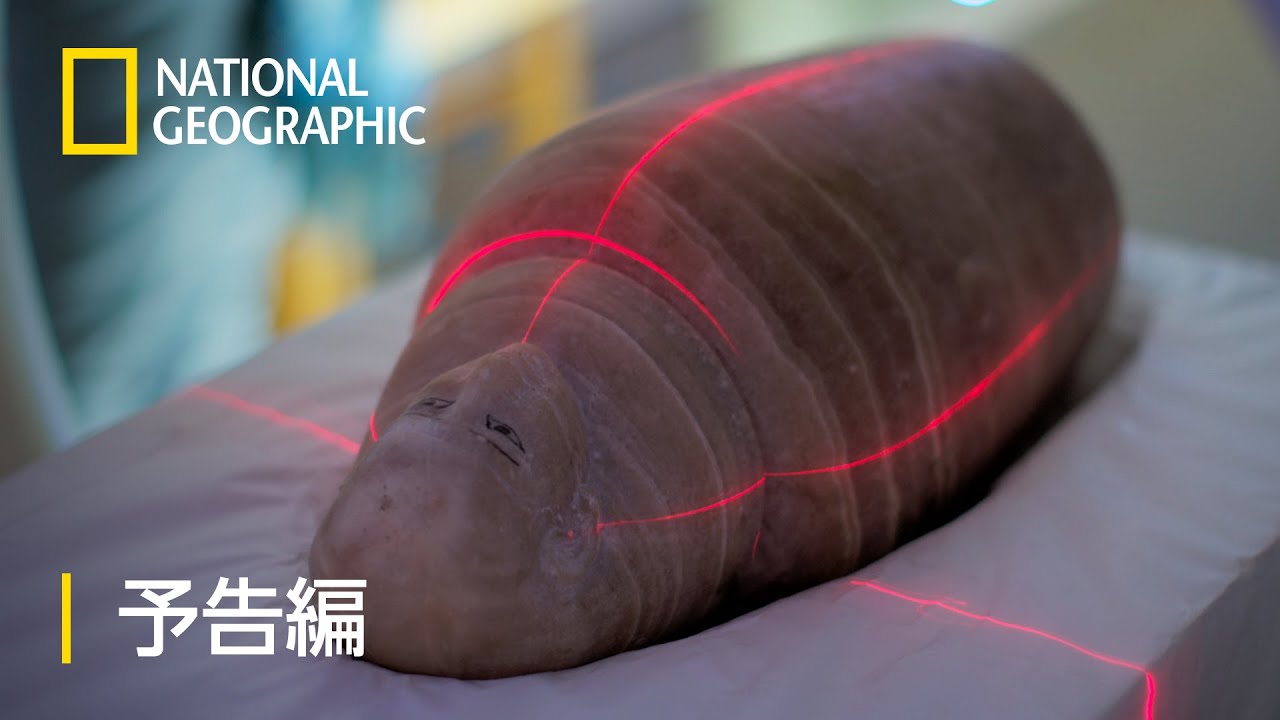 発掘！忘却の財宝とミイラの謎｜番組紹介｜ナショナル ジオ 