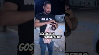 ESSA É A MUSSURANA, a cobra do bem #bioaldemir #curiosidades #animais
