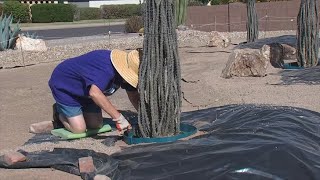 Even if you know a contractor; avoid paying upfront