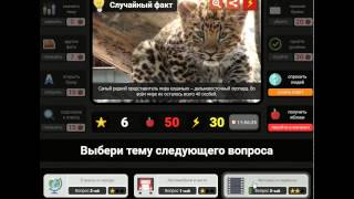 игра Гений загадки для умных приложение в контакте screenshot 4