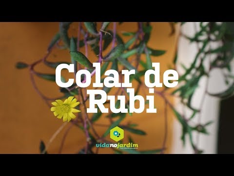 Colar de Rubi