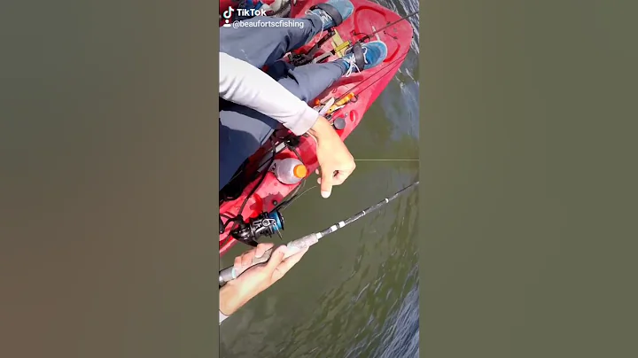 How To Catch SHEEPSHEAD! #Shorts #sheepshead #fishing