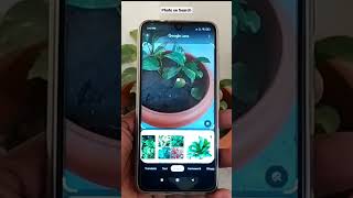 Photo Se Search On Internet