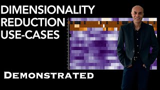 Dimensionality Reduction Use-cases Demonstrated
